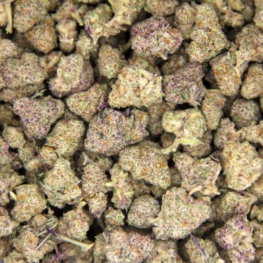 GMO Cookies (smalls) AAA BAG
