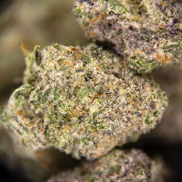 GMO Cookies (smalls) AAA ZOOM