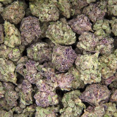 Grease Monkey (smalls) AAA BAG