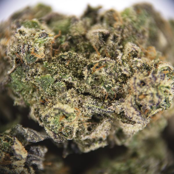 Grease Monkey (smalls) AAA ZOOM