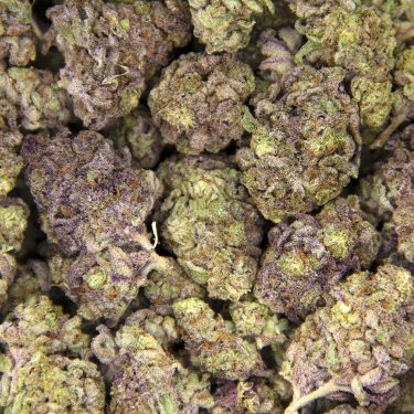 Island Sweet Skunk AA+ BAG