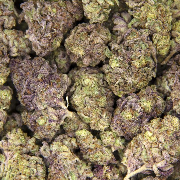 Island Sweet Skunk AA+ BAG