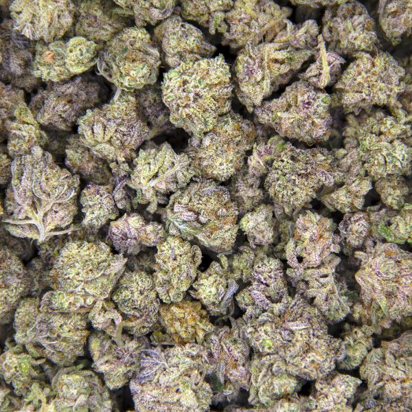 Mob Boss (smalls) AAA BAG