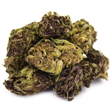 Platinum Girl Scout Cookies AA