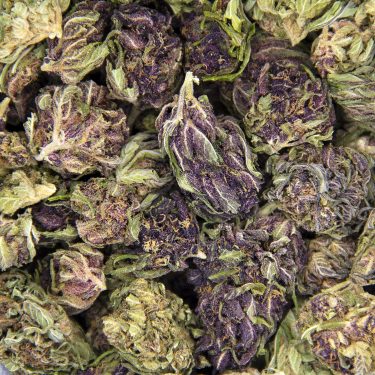 Platinum Girl Scout Cookies AA BAG