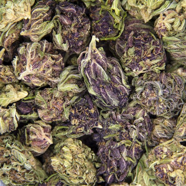 Platinum Girl Scout Cookies AA BAG