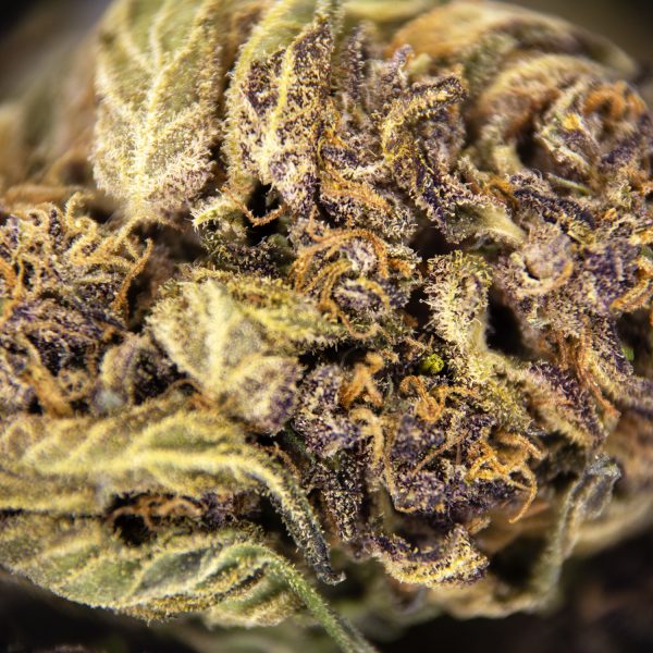 Platinum Girl Scout Cookies AA ZOOM
