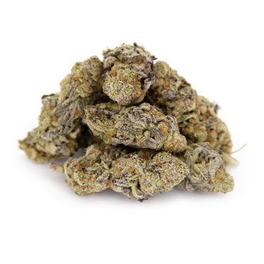 Purple Punch AA+ (1) copy