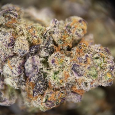 Purple Punch AA+ copy