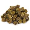 Red Congolese (popcorn) AA