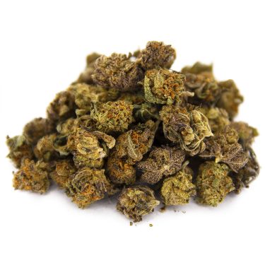 Red Congolese (popcorn) AA