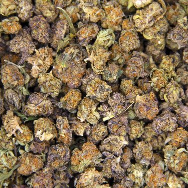 Red Congolese (popcorn) AA BAG