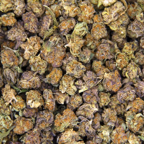 Red Congolese (popcorn) AA BAG