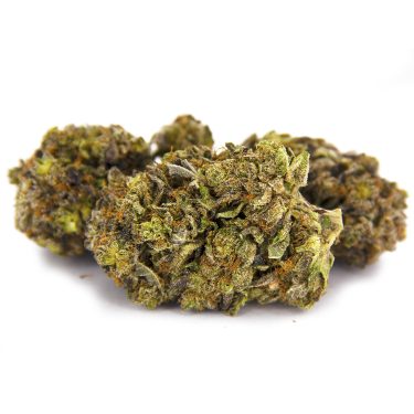Rockstar Tuna AAA