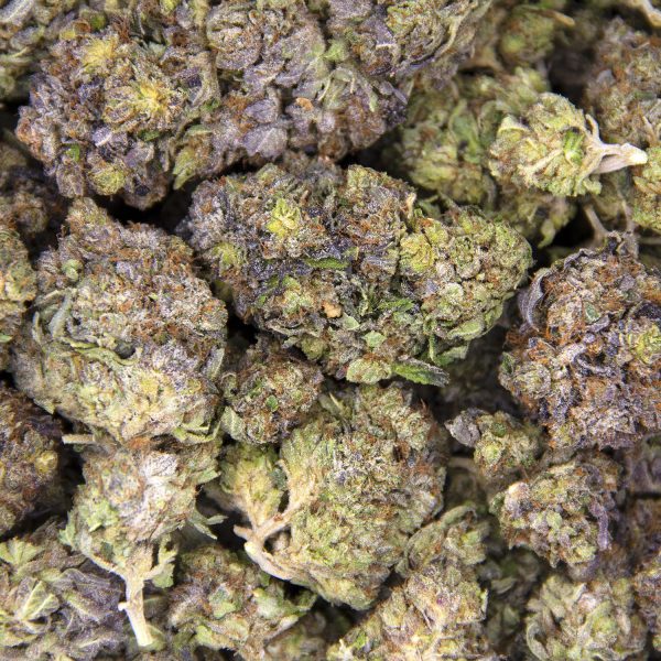Rockstar Tuna AAA BAG