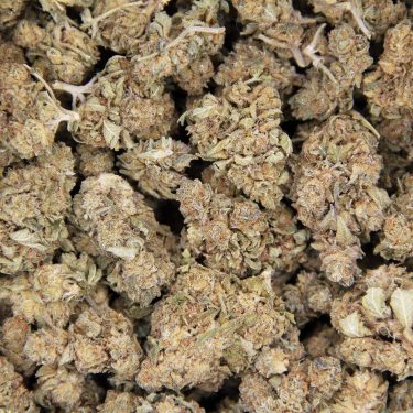 Sour Tangie AA (1) copy BAG