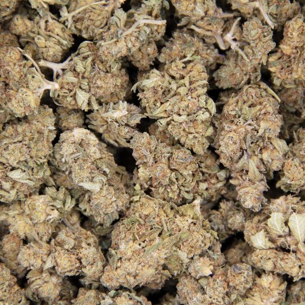 Sour Tangie AA (1) copy BAG