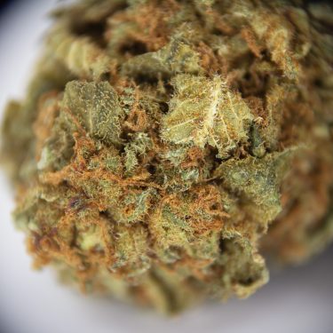 Alien Kush (mediums) AA (1) copy