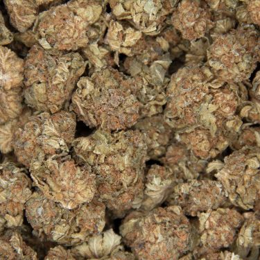 Alien Kush (mediums) AA (2) copy BAG