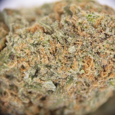 Blue Dream AAA (2) copy