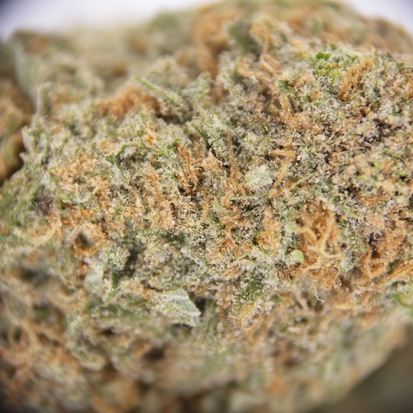 Blue Dream AAA (2) copy