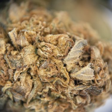 Hindu Kush AA (1) copy