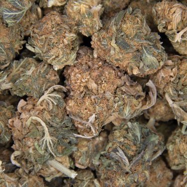Hindu Kush AA (2) copy BAG