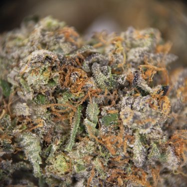 Platinum Kush AAAA (2) copy