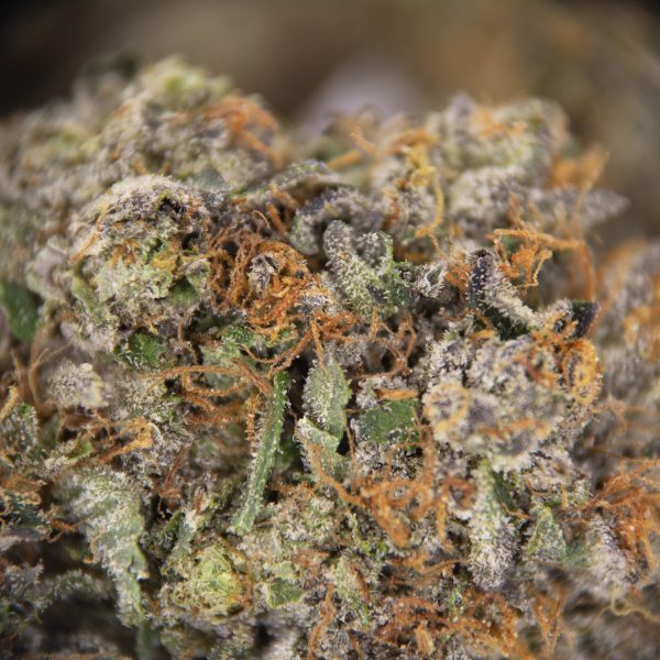 Platinum Kush AAAA (2) copy
