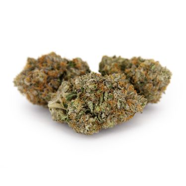 Platinum Kush AAAA copy