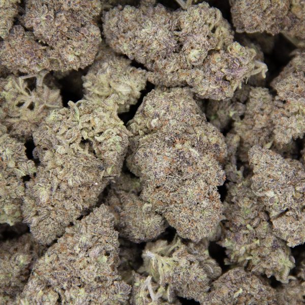 Purple Dog Poo AAA (1) copy BAG