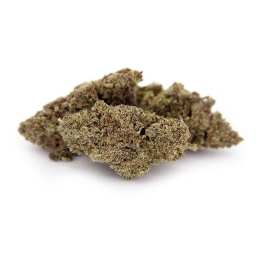Purple Dog Poo AAA copy