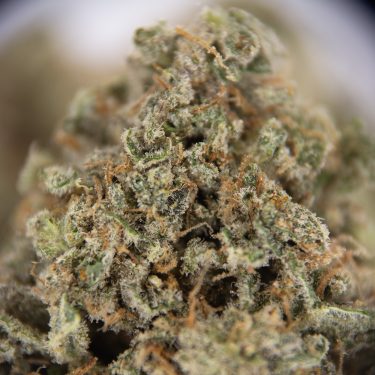 Super Silver Haze AA+ (1) copy