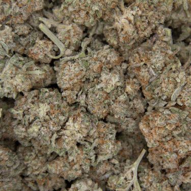 Super Silver Haze AA+ (2) copy BAG
