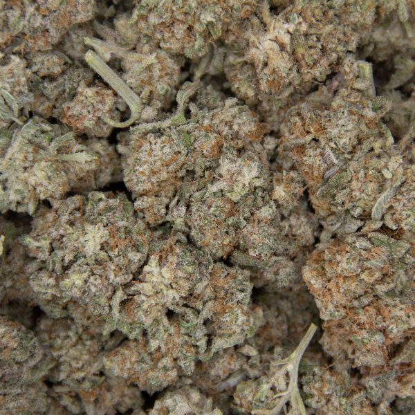 Super Silver Haze AA+ (2) copy BAG