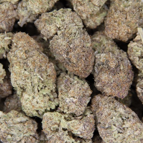 Zookies AAA (2) copy BAG
