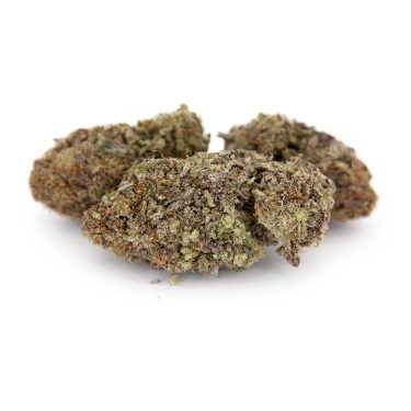 Zookies AAA copy