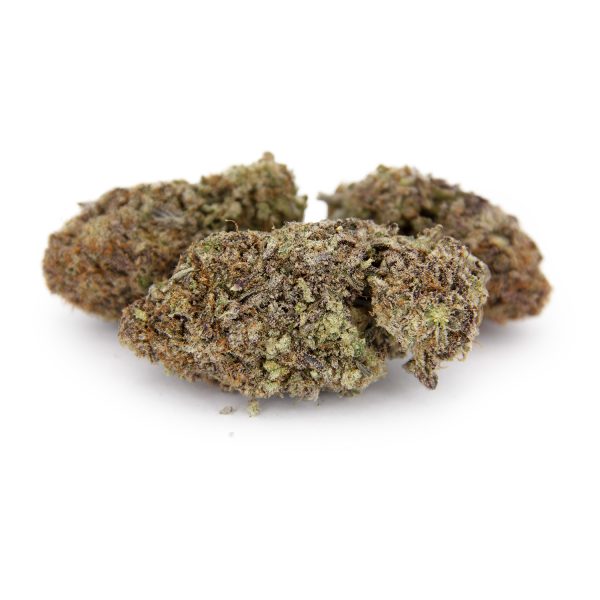Zookies AAA copy
