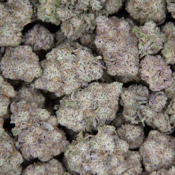 Biscotti AAA - Image 3