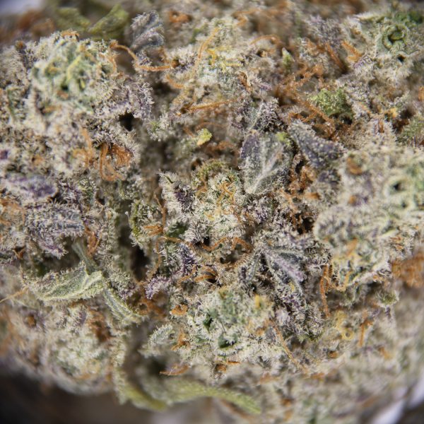 Biscotti AAA - Image 2