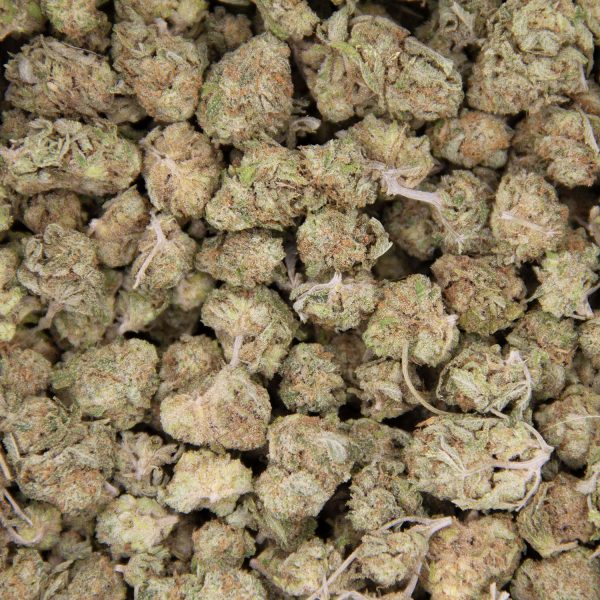 Blue Hawaiian (popcorn) AA - Image 2