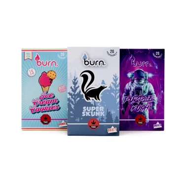 Burn Disposable - 2 Gram Vapes