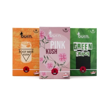 Burn Disposable - 3 Gram Vapes