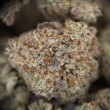 Cherry Pie (smalls) AA copy
