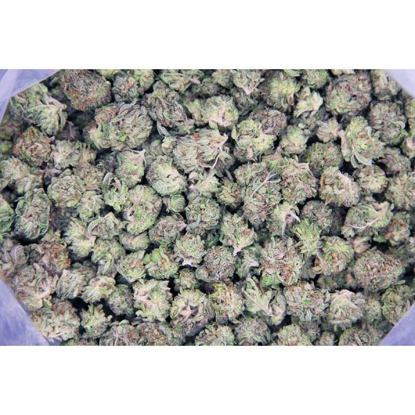 Death Bubba (popcorn) AAA - Image 2