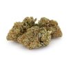 Dutch Treat (mediums) AA copy
