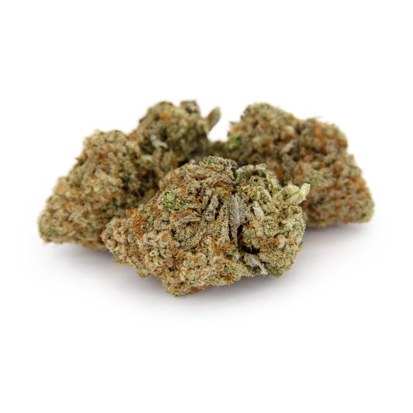 Dutch Treat (mediums) AA copy