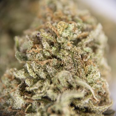 Fire OG AAA (2) copy