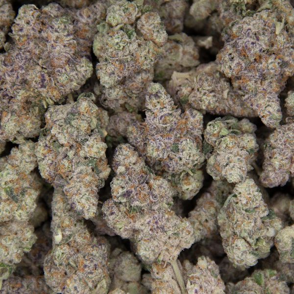 Frumpz AAAA - Image 3