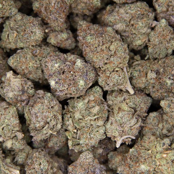 Gelato AA+ (2) copy BAG